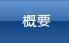 概要